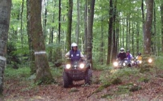  Cuatrimoto en foret a Fougerolles 